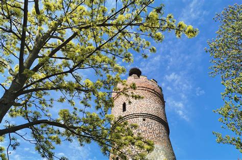 Stadt Pasewalk – Pasewalk entdecken.